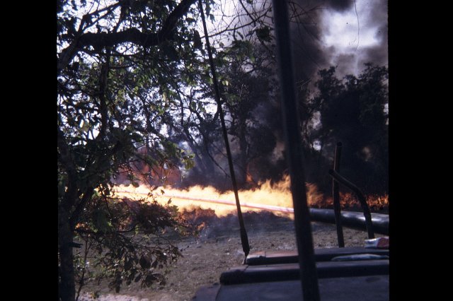 mar02 Flame track HoBo Woods_